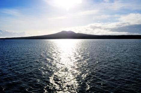 20110505-073754.jpg