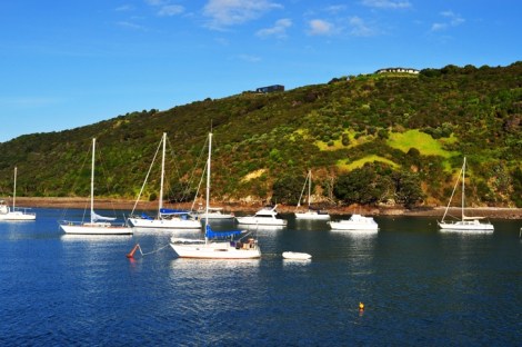 20110505-074111.jpg