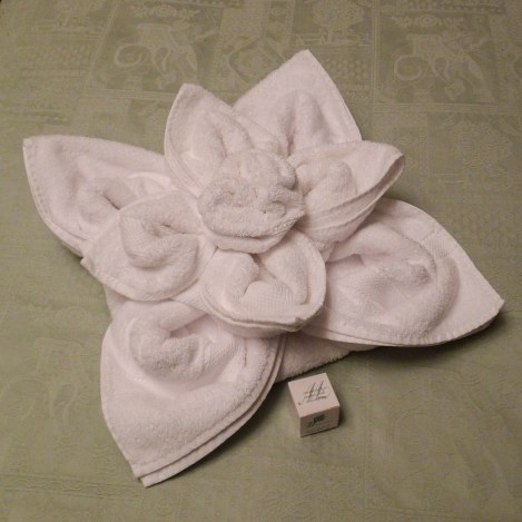 Towel Origami by our Housekeeper
